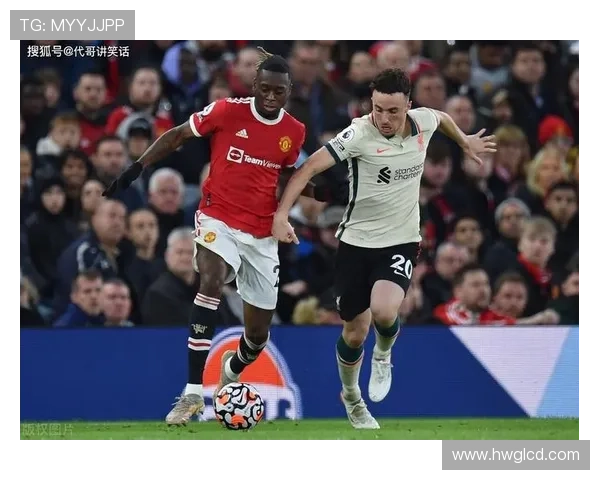 英超扬·保罗·范海克