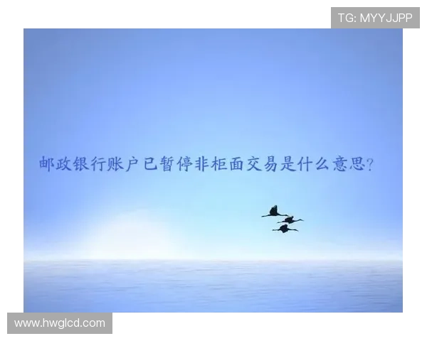 篮球暂停规则详解：什么是暂停？如何申请暂停？